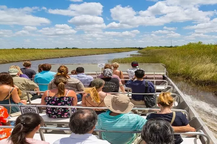Everglades Express Small Group Tour from Miami with Airboat Ride - Primary Image