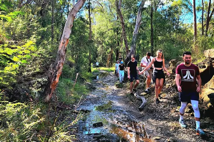 Blue Mountains Small Group Tour with Waterfall Walk & Fresh Lunch