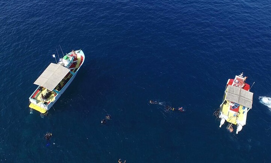 Image 7: Nice VIP promenade en mer avec snorkeling et plongée