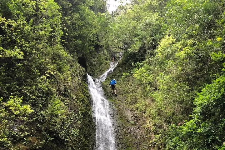 Waterfall Hike , Sightseeing & East Side Beach Day - Primary Image