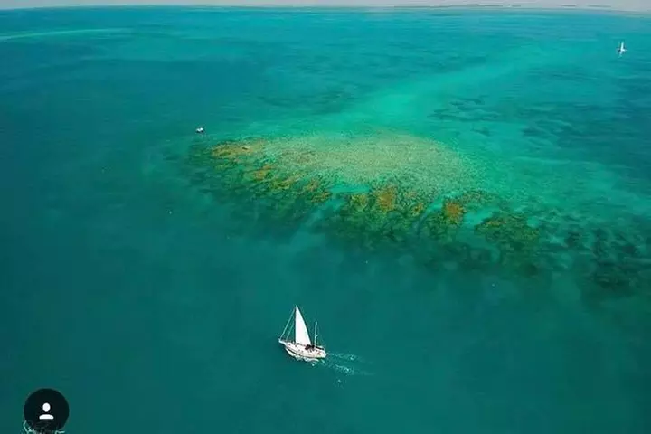 Key West Sailing & Snorkeling: A Reef Adventure