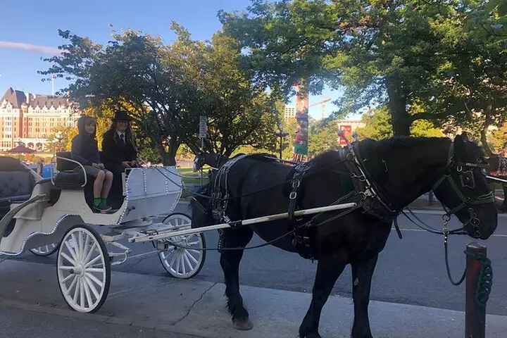 45-Minute By The Park Tour - Second Medium