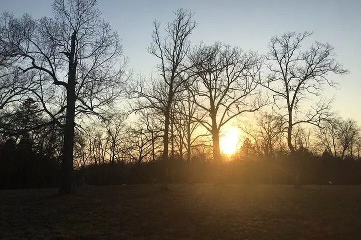 Shiloh Battlefield Self-Guided Driving Audio Tour