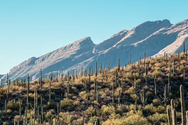 Saguaro National Park Self-Guided Driving Audio Tour