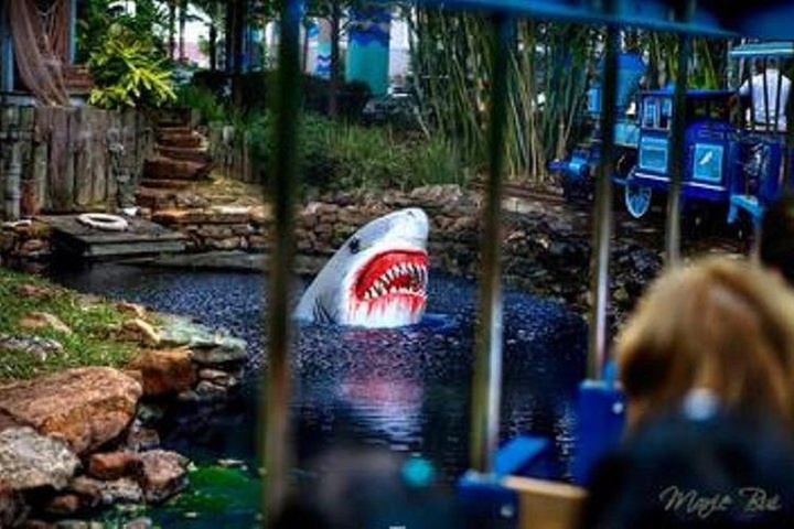 Houston City Tour and Downtown Aquarium All Rides Pass