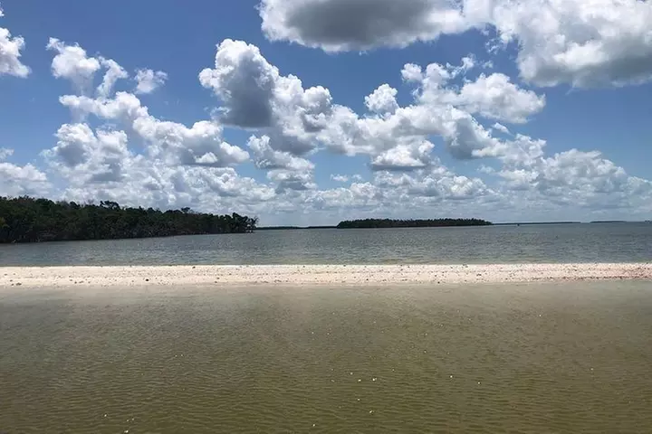 Marco Island 2 hour Dolphin, Birding and Shelling tour