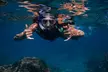 First Timers and Non-Swimmers Snorkeling Experience in Wailea - Second Medium