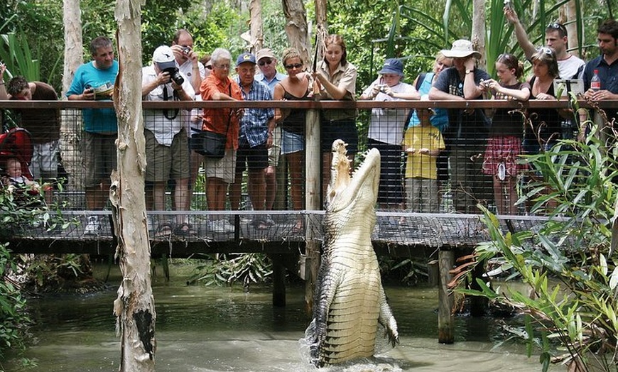 Image 1: Hartley's Crocodile Adventure Half-Day Tour