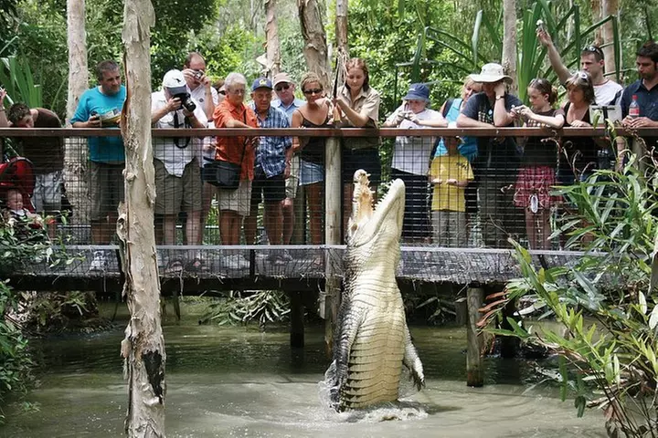 Hartley's Crocodile Adventures Half-Day Tour from Cairns