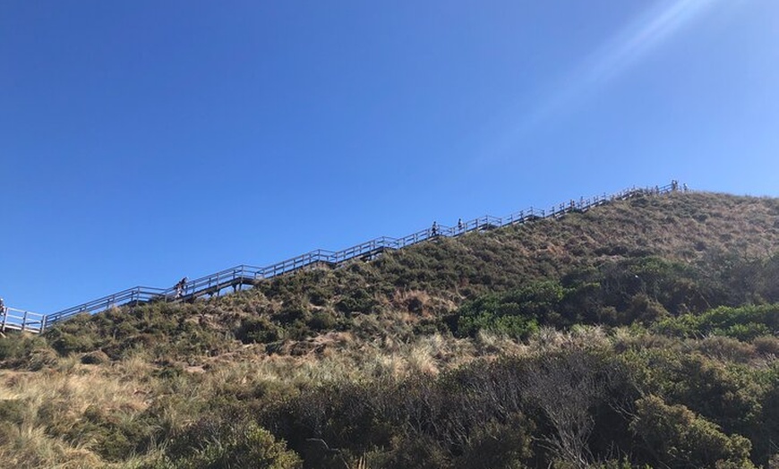 Image 19: Bruny Island Nature and Tasting Active Day Tour