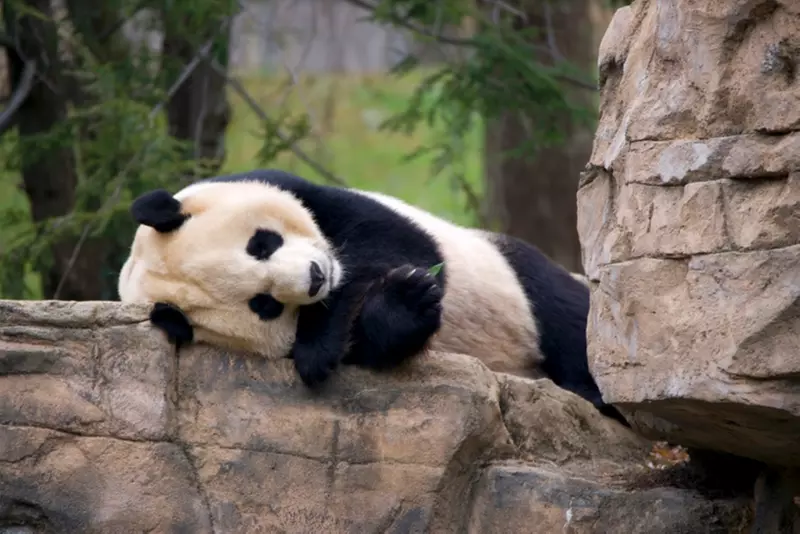 National Zoo Parking Deals - Primary Image