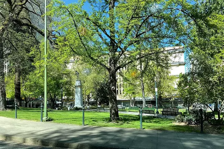 Portland City Tour: Views and News (Our Best Selling Tour!)
