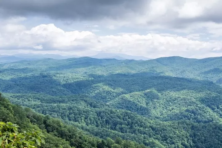 Half-Day Wine Tastings in the North Georgia Mountains