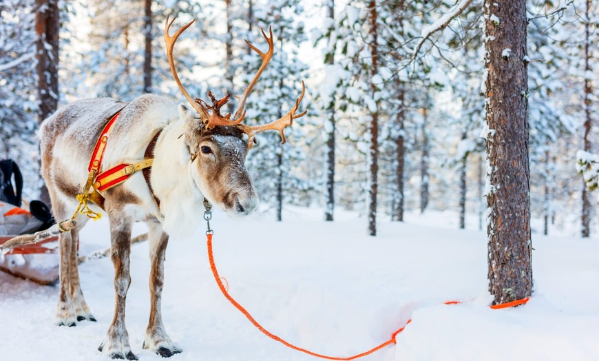 Image 9: ✈ LAPONIE | Rovaniemi - Séjour multi activités à Rovaniemi 3* - Mul...