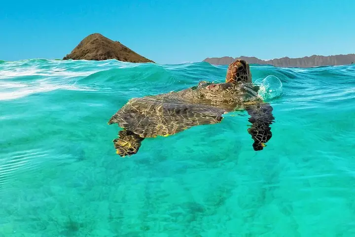 Self-Guided Kayaking Discovery in Kailua, Oahu