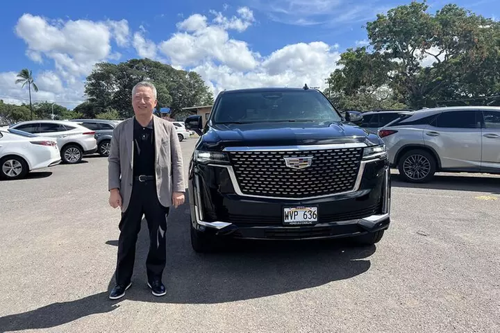 One-Way VIP Transfer: Honolulu Airport, Waikiki, Cruise Port