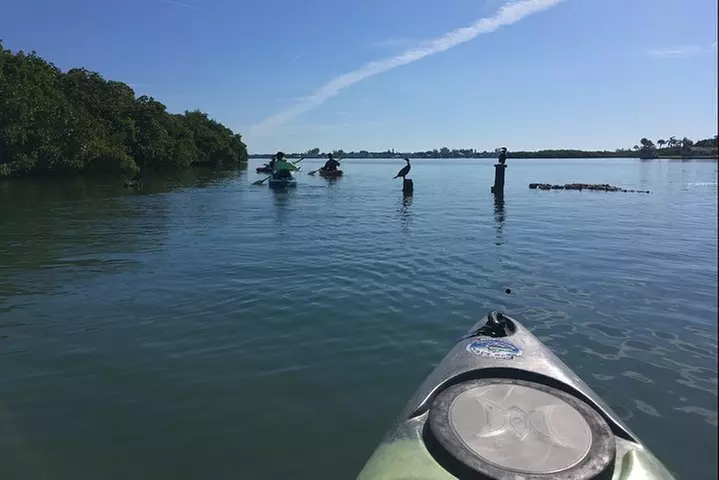 Sarasota Guided Mangrove Tunnel Kayak Tour