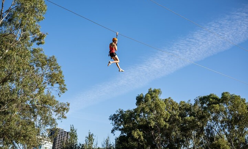 Image 3: Tree Top Activity for Thrill Seekers and Adventurers in Adelaide