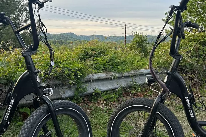 Electric Bike Rentals with Free E-Bike Delivery