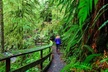 Self-Guided Audio Driving Tour in Olympic National Park - Second Medium