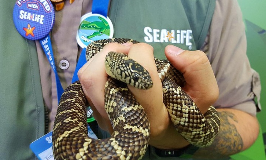 Image 2: Hunstanton SEA LIFE Sanctuary General Admission Ticket