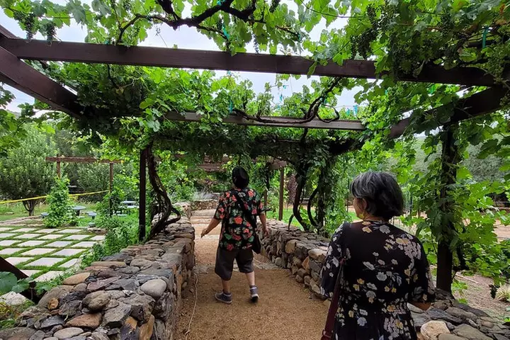 Private Wine Tour, Voted best in town, Tastings Included!