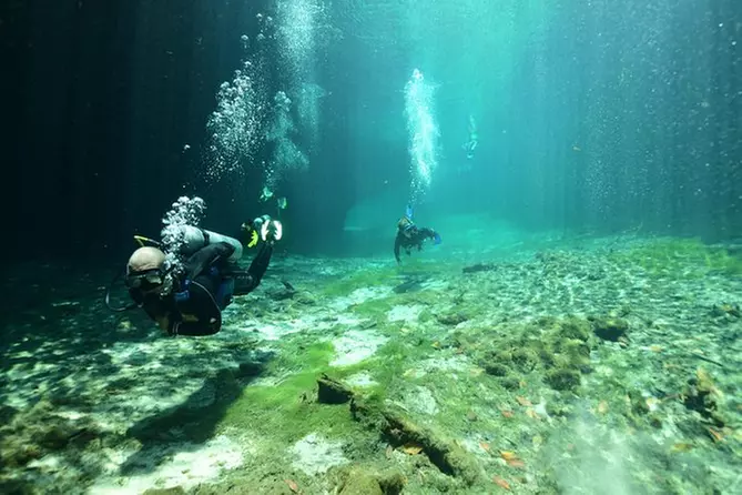 Discover Scuba Diving in Tulum - Primary Image