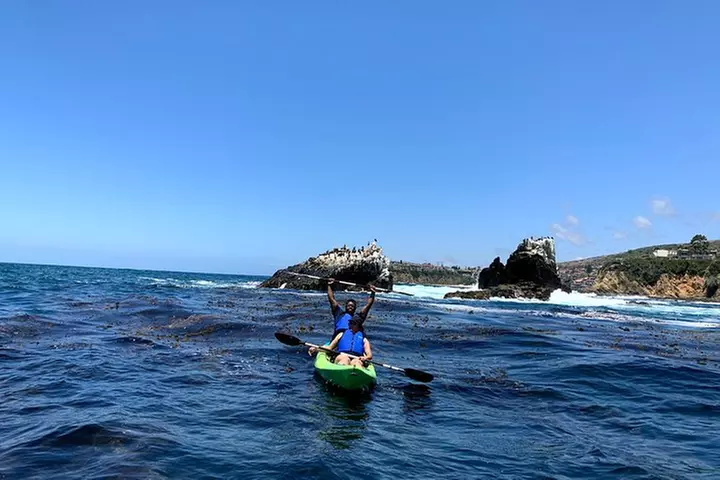 Laguna Beach Open Ocean Kayaking Tour with Sea Lion Sightings