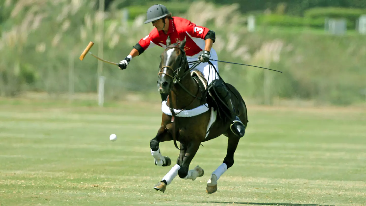San Diego Sunday Surf Polo - Sunday October 1, 2017 / 1:00pm - Primary Image
