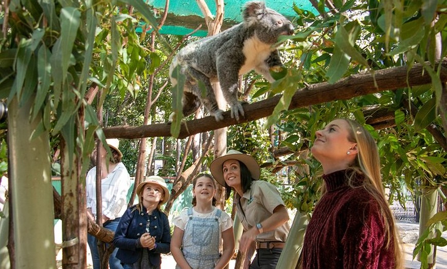 Image 1: Currumbin Wildlife Sanctuary General Entry Ticket