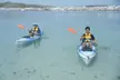 Alquiler de Kayaks Menorca - Image 6