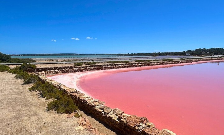 Image 6: Formentera 4X4 Tour de Rincones Secretos en Land Rover Defender