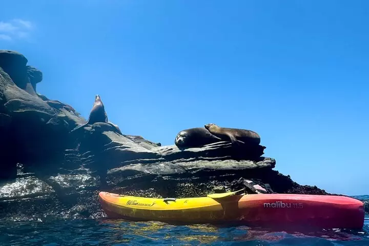 Snorkeling Adventure in La Jolla