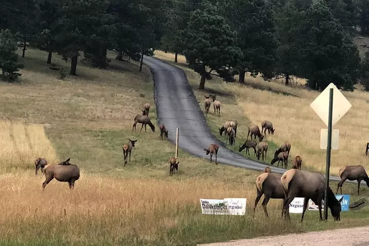 Private tour of Red Rocks, Echo Lake, Mount Evans and Idaho Springs.
