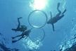 West Oahu Whale Watching & Turtle Snorkeling - Second Medium