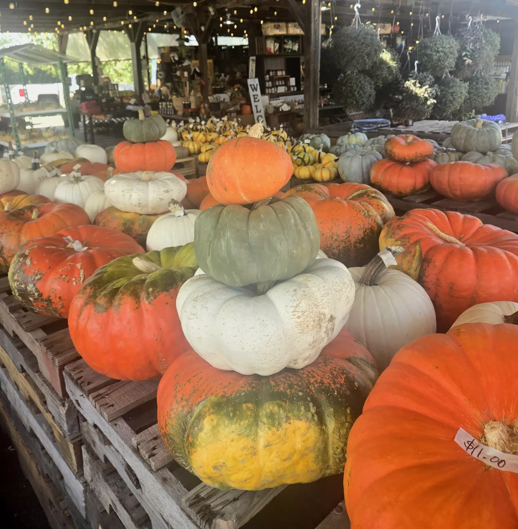 $20 For $40 Worth Of Goods & Services