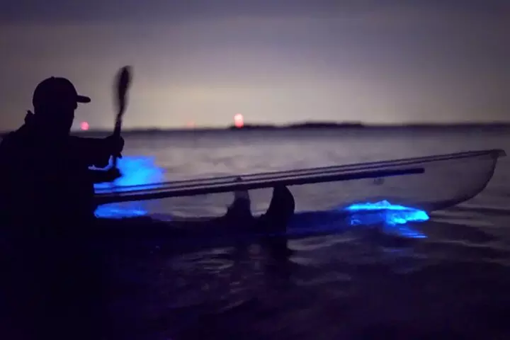 Florida Bioluminescence Clear Kayak tour/ Beacon 42 (Titusville) - Primary Image
