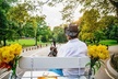 Official Private New York City Central Park Horse Carriage Ride Since 1965™ - Second Medium