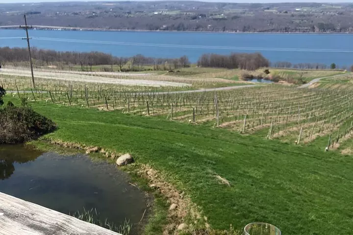 Seneca Lake South Wine Tastings Tour