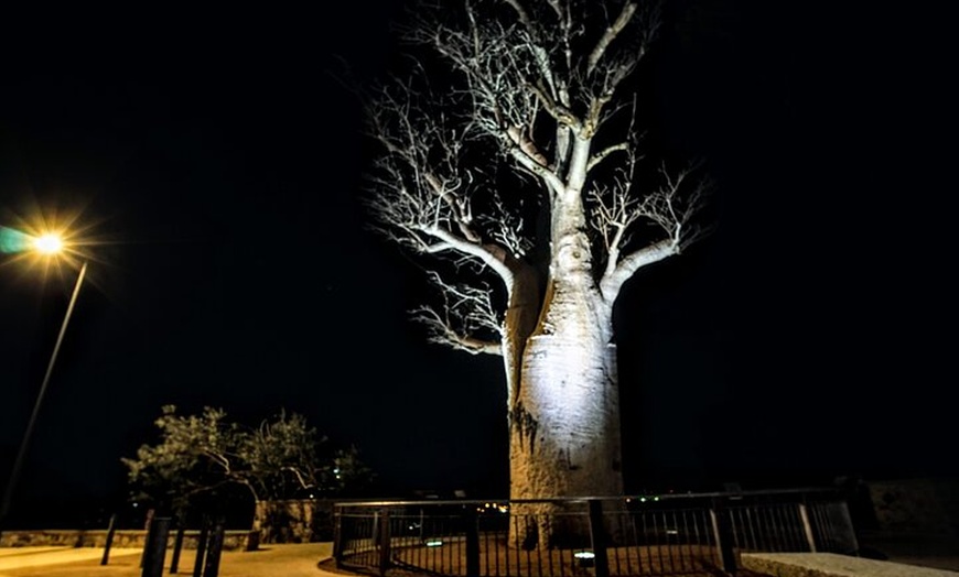 Image 15: Perth City Lights Instagram Tour with Dessert