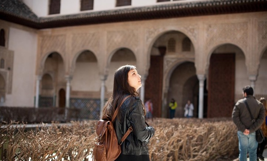 Image 3: Entrada para la Alhambra con audioguía, incluidos los Palacios Naza...