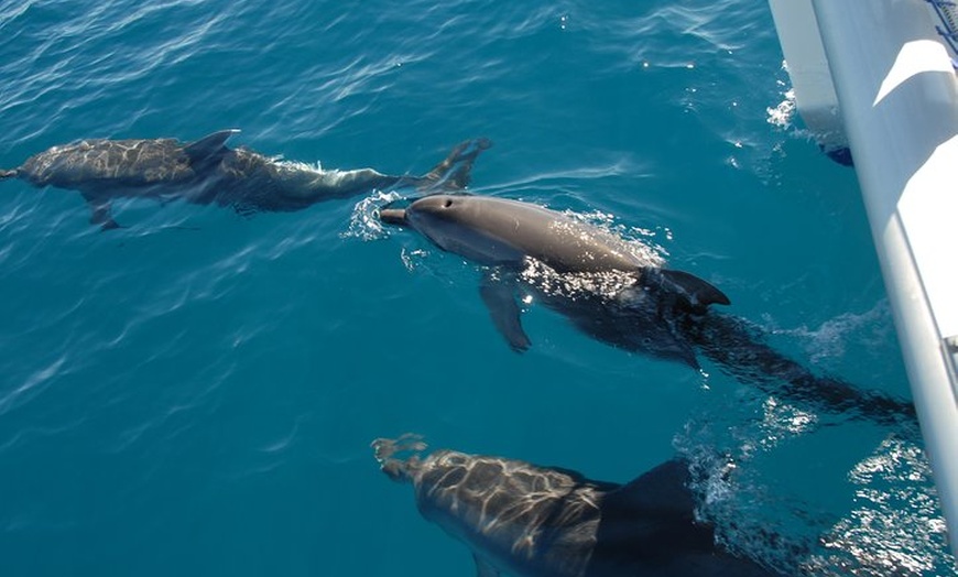 Image 1: Fraser Island & Dolphin Sailing Adventure