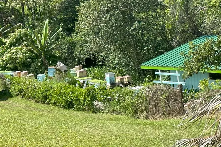 Waipi'o on Horseback: Mountain Ocean Views Working Cattle Ranch