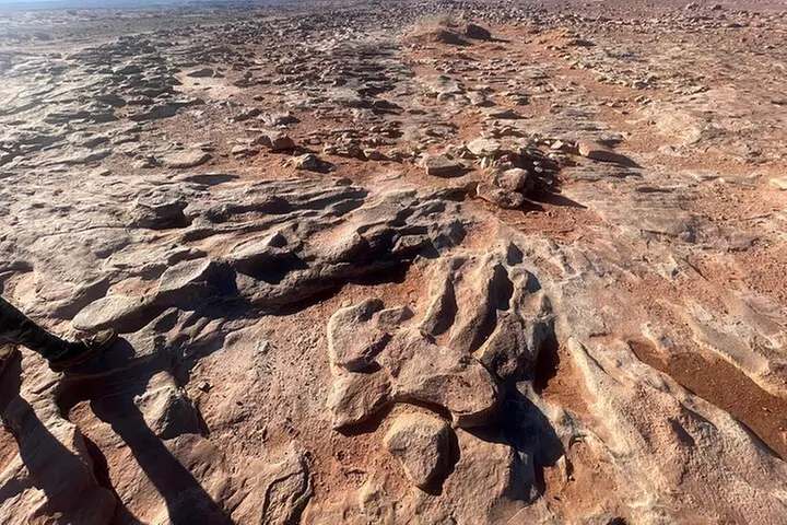 Grand Canyon South Rim, Antelope Canyon and Horseshoe Bend Tour