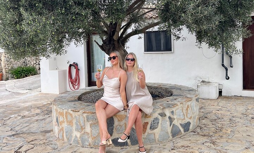 Image 7: Alicante : Catas de Vinos & Tapas Privadas en 2 Bodegas Boutique