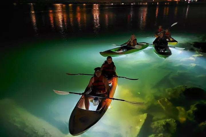 Sharkeys Glass Bottom Fish Feeding LED Night Tour St. Pete Beach - Primary Image