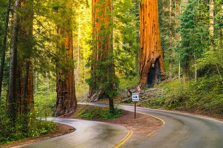 10+ Self-Guided Driving Tours from Las Vegas