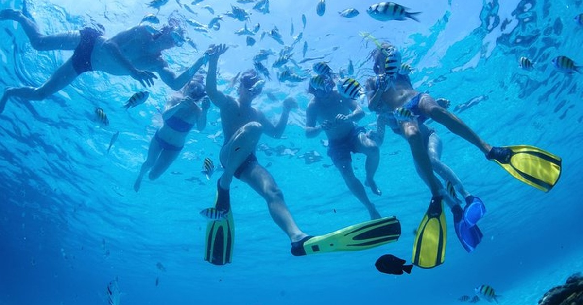 Minicrucero con delfines en Playa del Carmen
