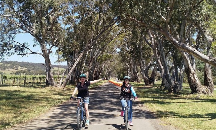 Image 12: McLaren Vale Wine Tour by Bike