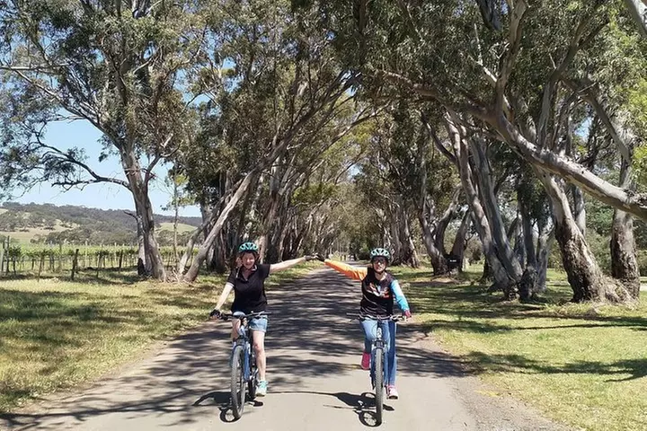 McLaren Vale Wine Tour by E-Bike (Private & Small Group)